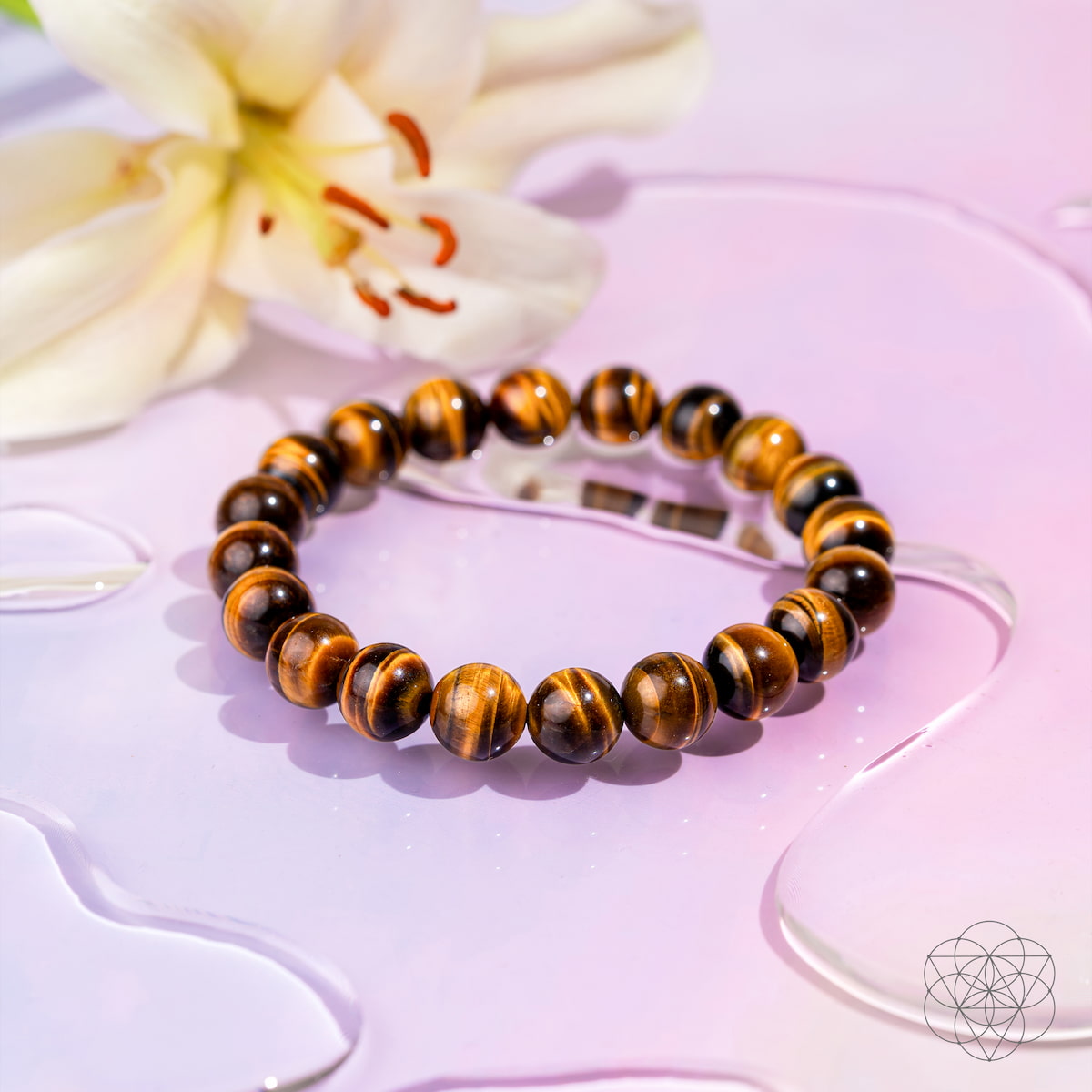 Polished tiger’s eye bracelet on premium elastic