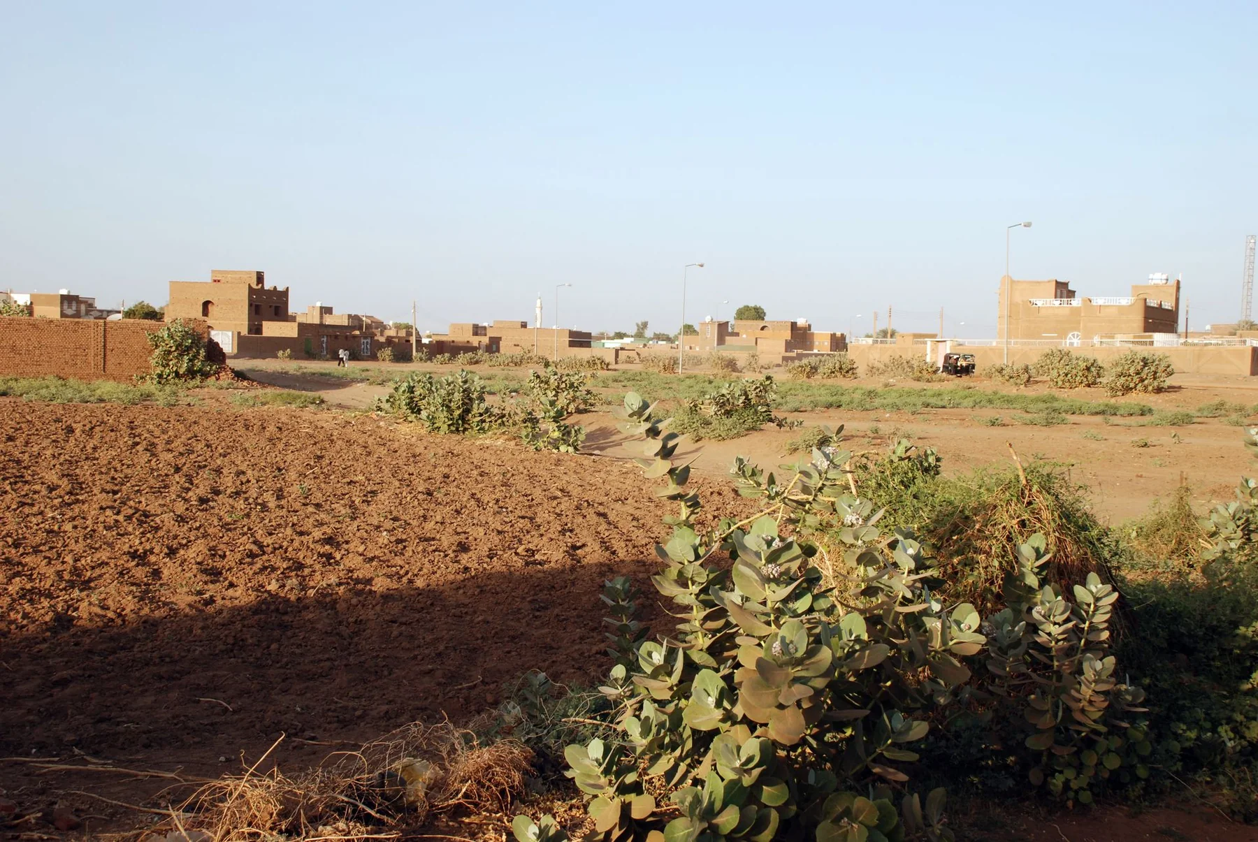 صورة تاريخية لمنازل وحقول في جزيرة توتي عند ملتقى النيلين في الخرطوم سنة 2008